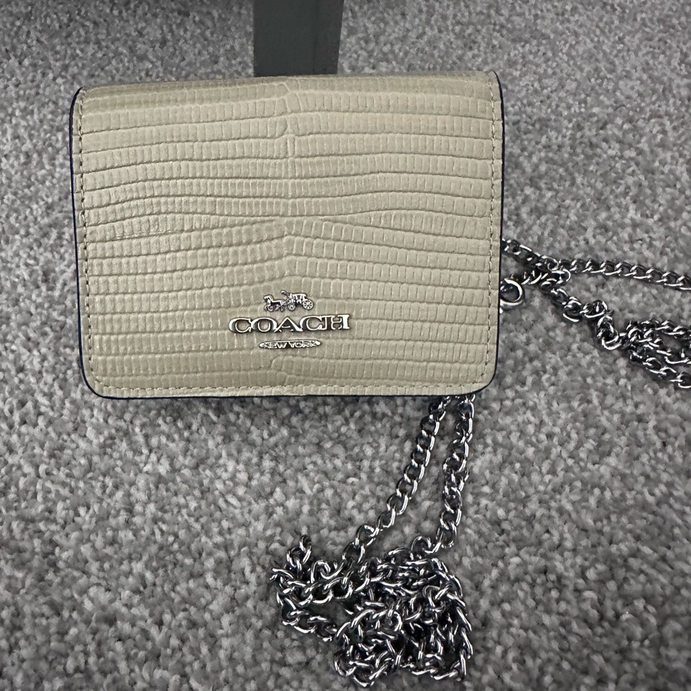Coach mini Wallet on Sage novelty embossed leather with silver chain strap